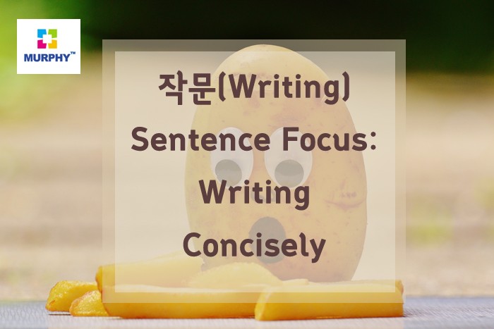 아이엘츠(IELTS) 작문(writing) -Sentence Focus: Writing Concisely 관련 이미지 1