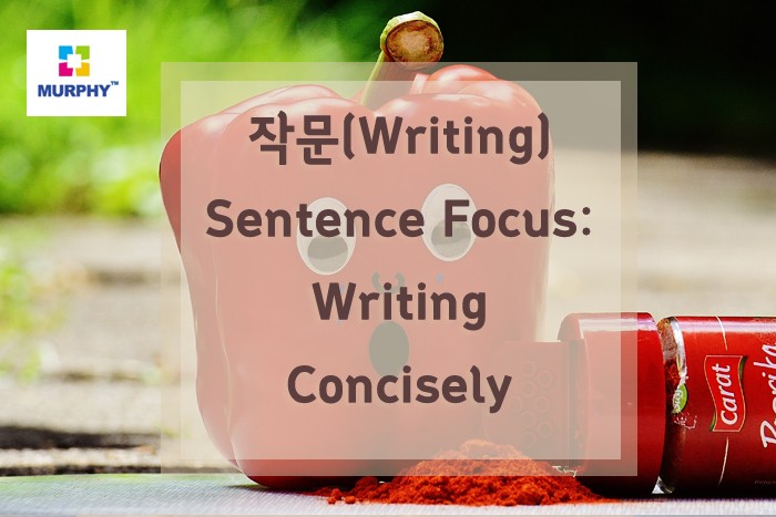 아이엘츠(IELTS) 작문(writing) -Sentence Focus: Writing Concisely 관련 이미지 1
