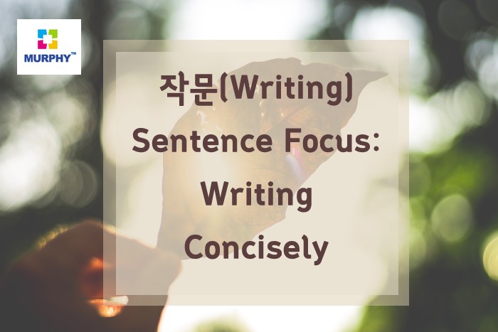 아이엘츠(IELTS) 작문(writing) -Sentence Focus: Writing Concisely 관련 이미지 1