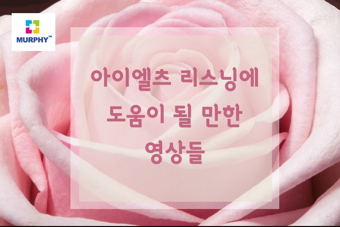 (머피의 취향이 듬뿍 담긴) 아이엘츠 리스닝에 도움이 될 만한 영상들 2탄 관련 이미지 1