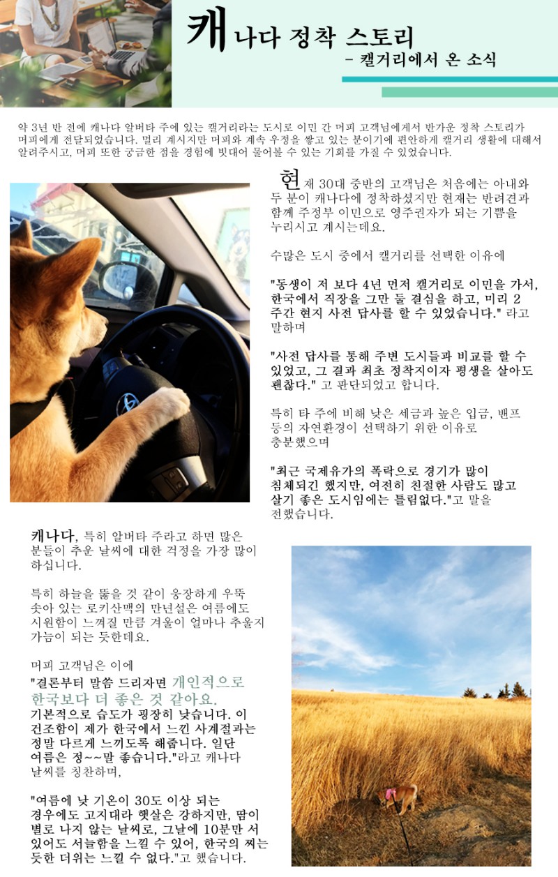 [캐나다정착정보] 알버타주의 리얼 정착 스토리 ep1. 관련 이미지 1