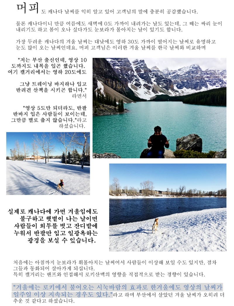 [캐나다정착정보] 알버타주의 리얼 정착 스토리 ep1. 관련 이미지 2