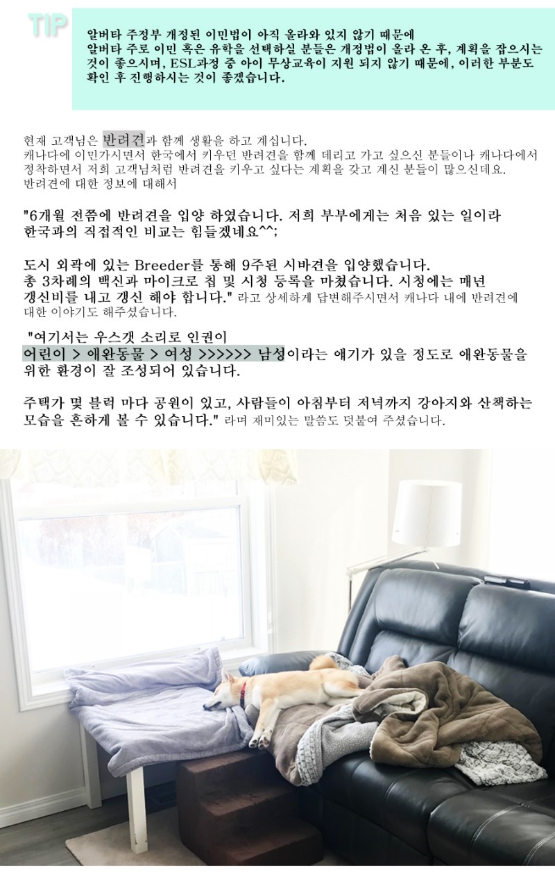 [캐나다정착정보] 알버타주의 리얼 정착 스토리 ep1. 관련 이미지 5