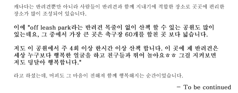 [캐나다정착정보] 알버타주의 리얼 정착 스토리 ep1. 관련 이미지 6
