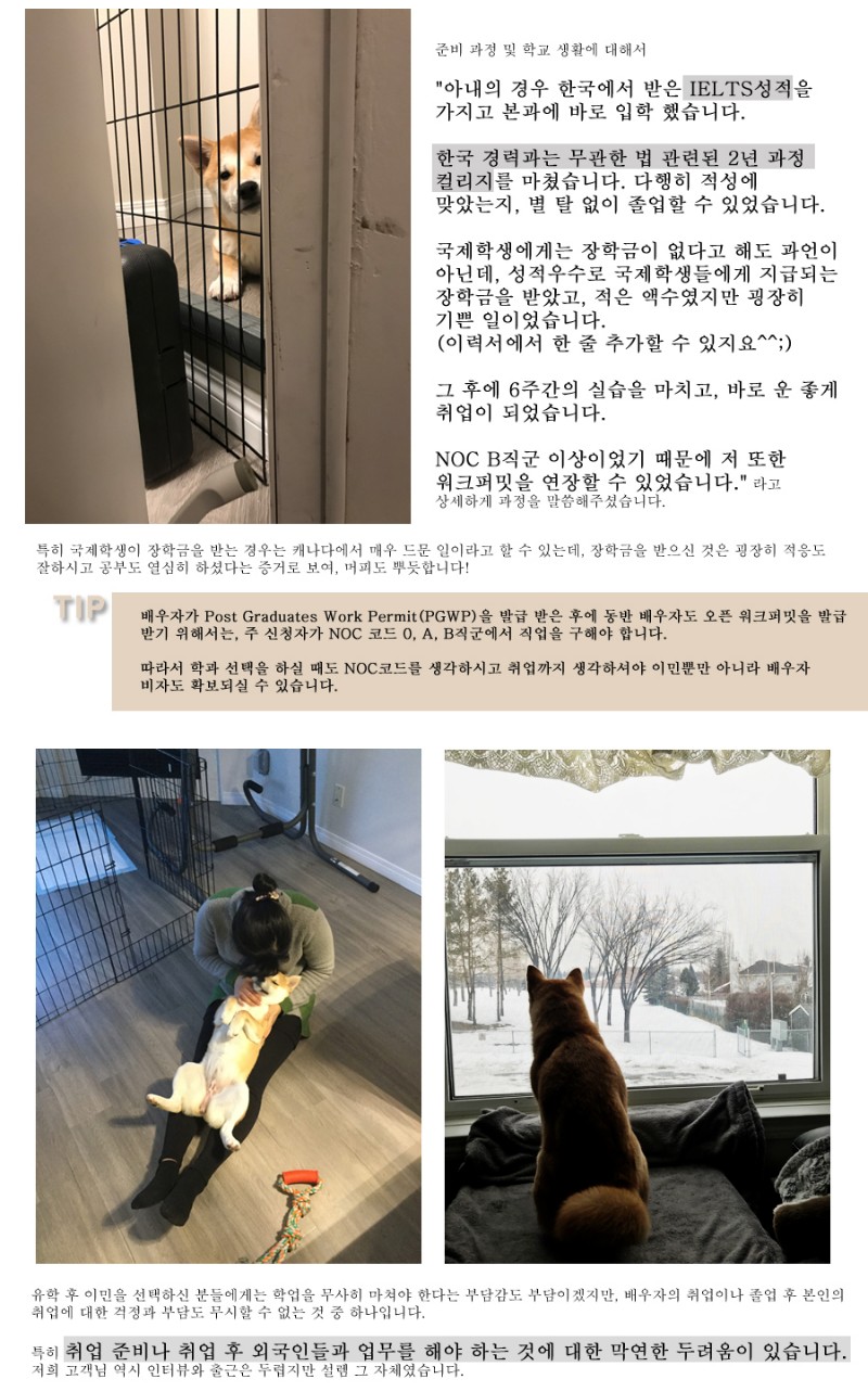 [캐나다정착정보] 알버타주의 리얼 정착 스토리 ep2.(완결) 관련 이미지 2