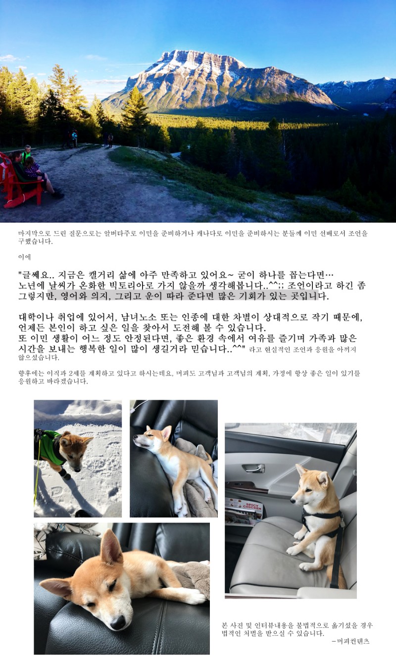 [캐나다정착정보] 알버타주의 리얼 정착 스토리 ep2.(완결) 관련 이미지 4