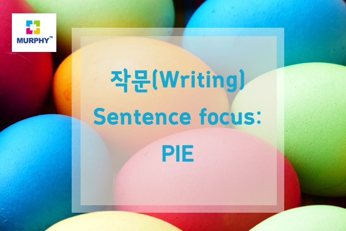 IELTS 아이엘츠 작문 Sentence focus: PIE 관련 이미지 1
