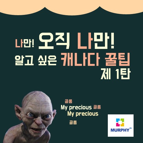 [카드뉴스] 나만 알고 싶은 캐나다 꿀팁 1탄 관련 이미지 1
