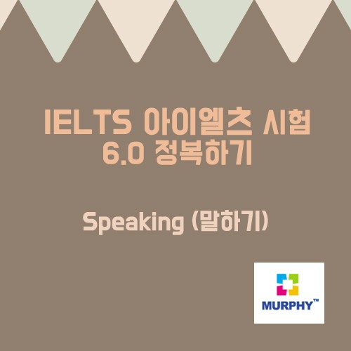 아이엘츠 스피킹을 한 눈에 살펴볼 수 있는 카드뉴스! 관련 이미지 1