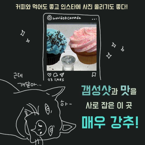 [카드뉴스] 나만 알고 싶은 캐나다 카페 3탄 관련 이미지 7