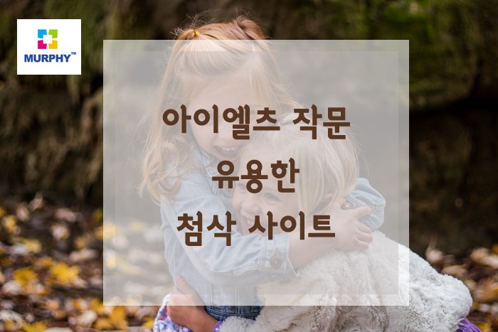 아이엘츠 작문 공부 할 때 유용한 첨삭 사이트! 관련 이미지 1