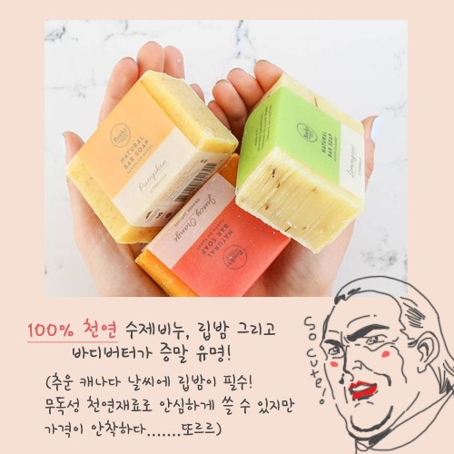 [카드뉴스] 나만 알고 싶은 캐나다 쇼핑 4탄 관련 이미지 3