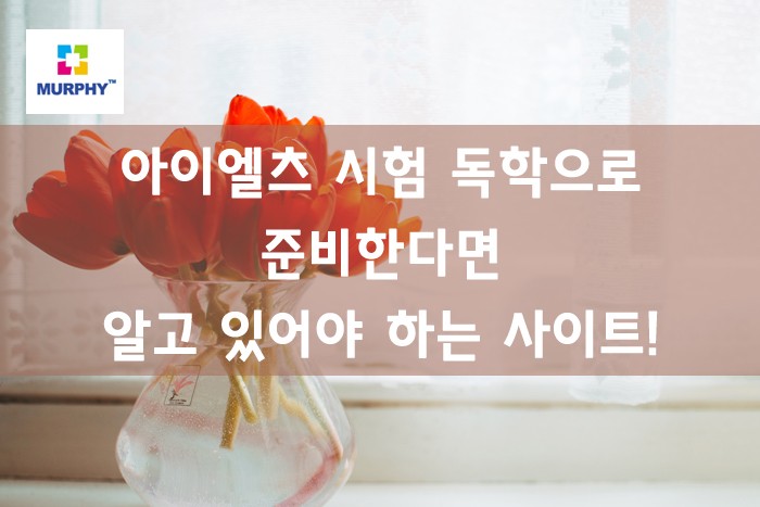 아이엘츠 시험 독학하고 있다면! 반드시 알아야 하는 사이트! 관련 이미지 1