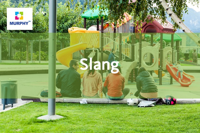 Slang 관련 이미지 1