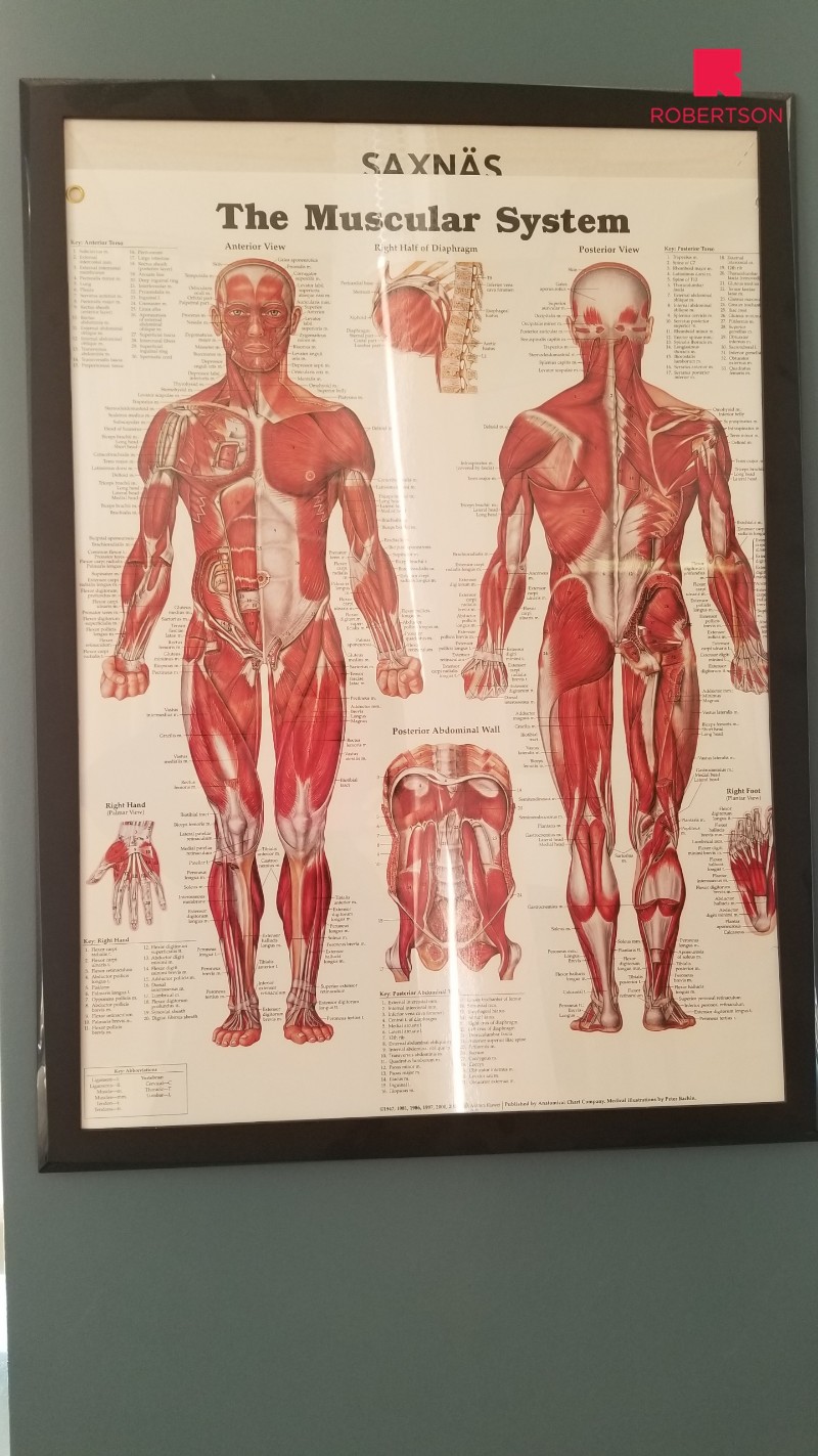 [캐나다유학] Robertson College Massage Clinic을 소개합니다! 관련 이미지 8