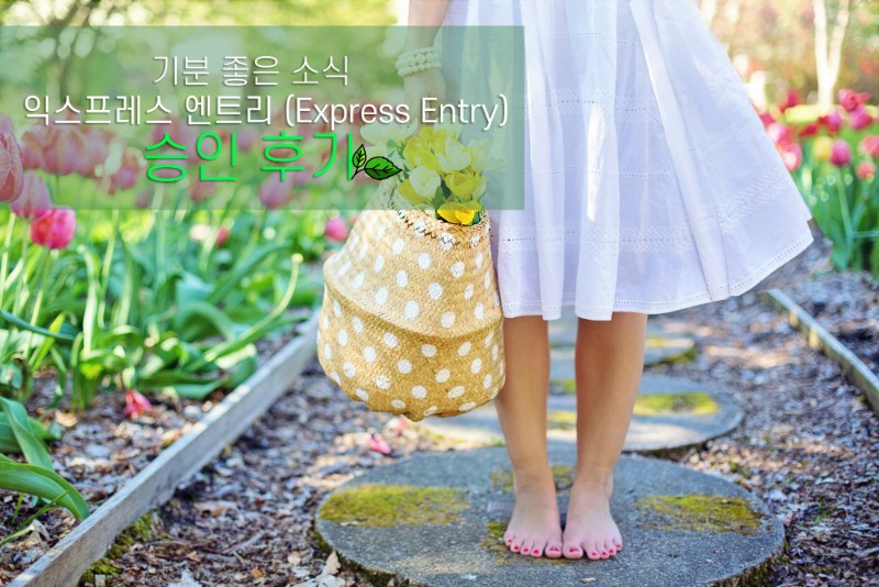 기분 좋은 소식! 익스프레스 엔트리 (EE)승인 후기 관련 이미지 1