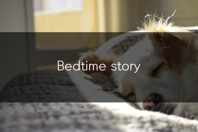 Bedtime Story를 읽을 수 있는 사이트! 관련 이미지 1