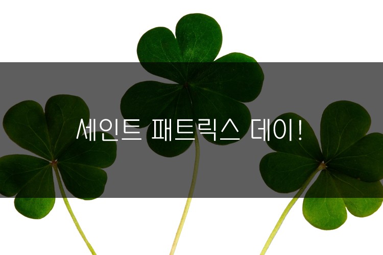 세인트 패트릭스 데이 (St. Patrick’s Day) 관련 이미지 1