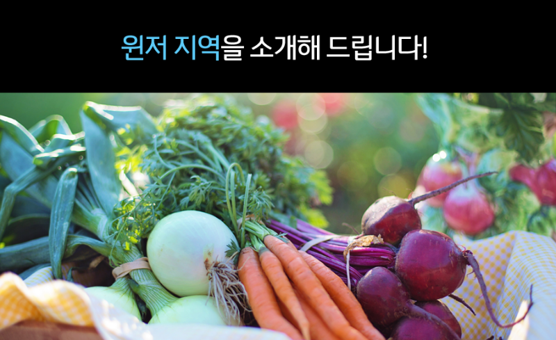 윈저 유학 후 이민 프로그램 관련 이미지 4