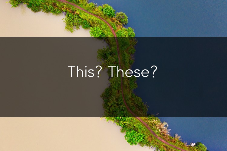 아이엘츠에 도움이 되는 문법: This? These? 관련 이미지 1