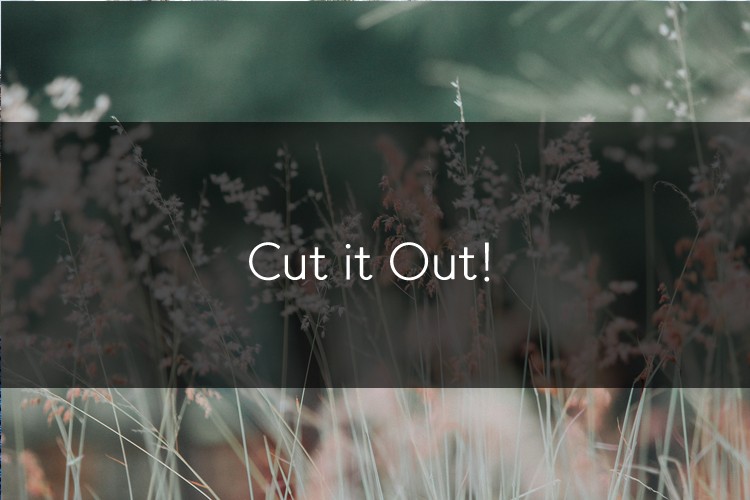 머피의 영어 한마디! Cut it out! 관련 이미지 1