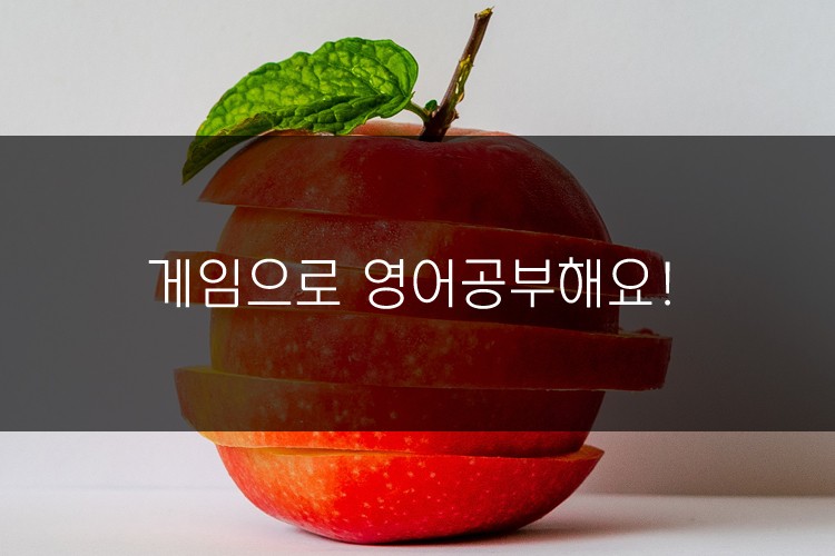 영어실력을 키울 수 있는 보드 게임! Apples to Apples 관련 이미지 1