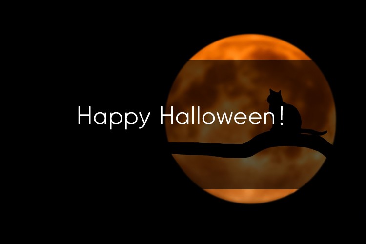 유용한 Halloween  관용어와 표현들 관련 이미지 1