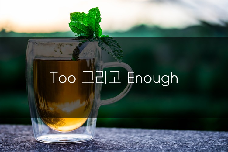 머피의 오늘의 문법! Too 그리고 Enough 관련 이미지 1