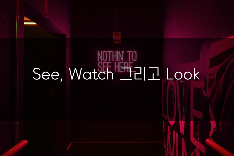 머피의 오늘의 문법! See, Watch 그리고 Look 관련 이미지 1