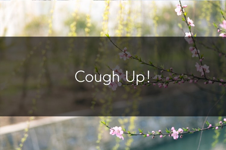 머피의 영어 한마디! Cough Up! 관련 이미지 1