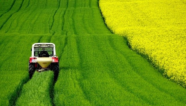 [캐나다이민] 다시 살펴보는 이민 계획 : 포스트 코로나에도 이민성공율 좋은 지역 어디? - 윈저(1/2) 관련 이미지 5