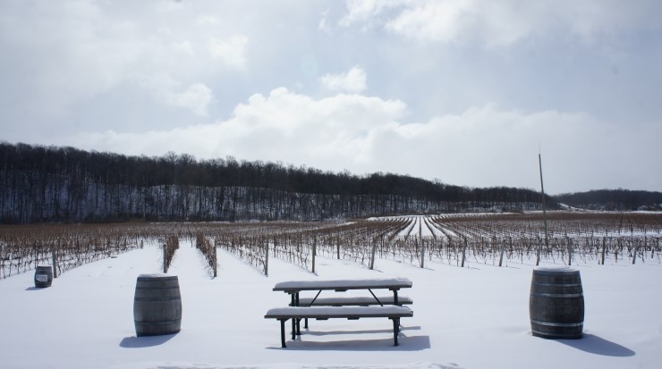 나이아가라 컬리지 특이학과② - Winery, Viticulture and Brewery Studies 관련 이미지 5