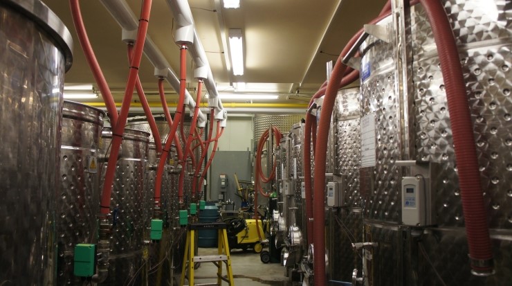 나이아가라 컬리지 특이학과② - Winery, Viticulture and Brewery Studies 관련 이미지 8