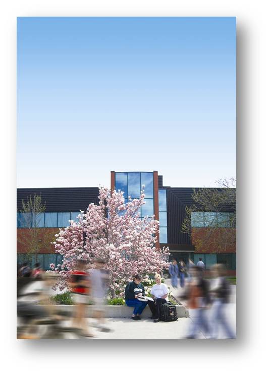 코네스토가 컬리지 출국 세미나 후기 관련 이미지 1