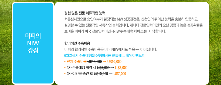 미국전문인력(NIW)도 역시, 머피가 책임집니다. 관련 이미지 3